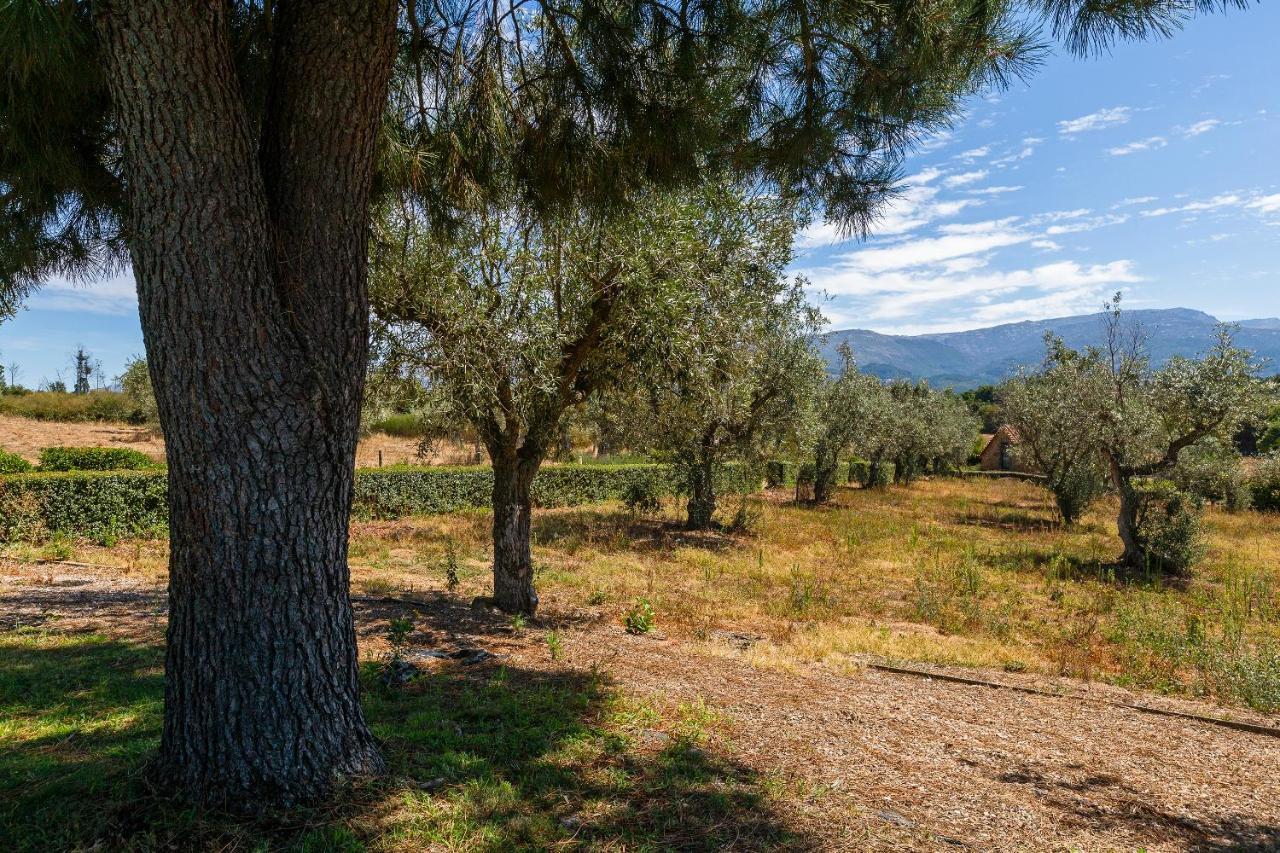 Quinta Do Chao Da Vinha Villa Carragozela Esterno foto