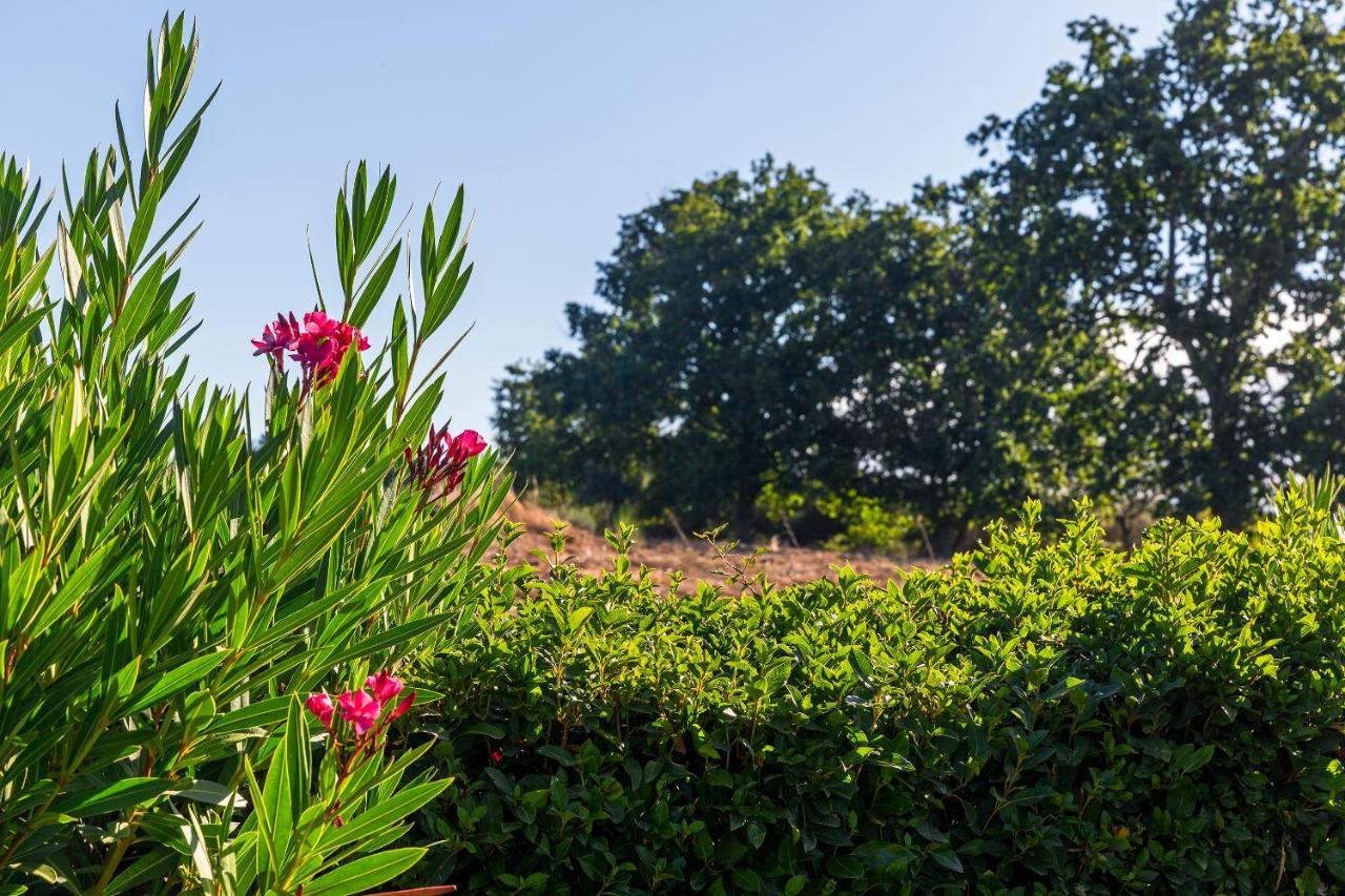 Quinta Do Chao Da Vinha Villa Carragozela Esterno foto