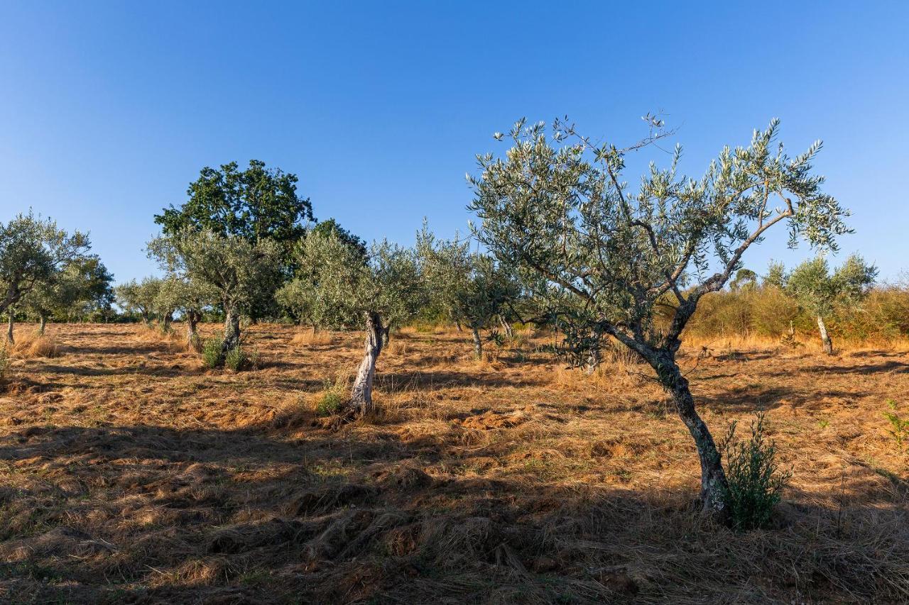 Quinta Do Chao Da Vinha Villa Carragozela Esterno foto