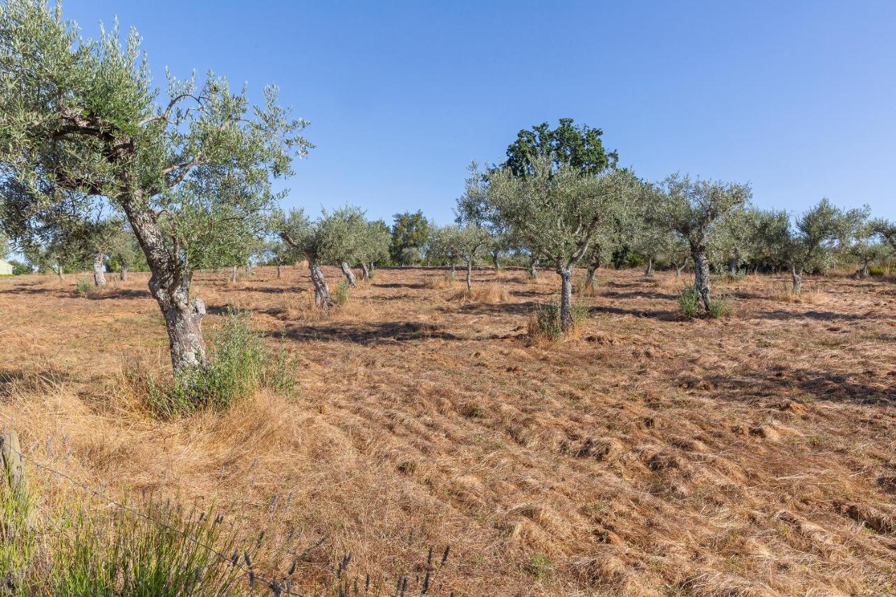 Quinta Do Chao Da Vinha Villa Carragozela Esterno foto