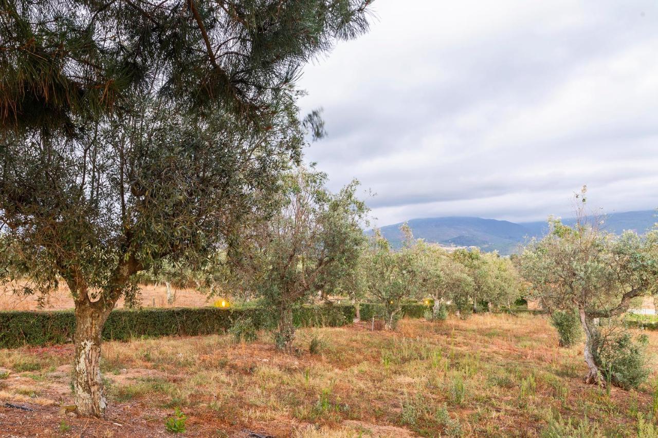 Quinta Do Chao Da Vinha Villa Carragozela Esterno foto