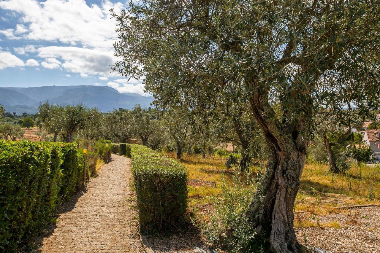 Quinta Do Chao Da Vinha Villa Carragozela Esterno foto